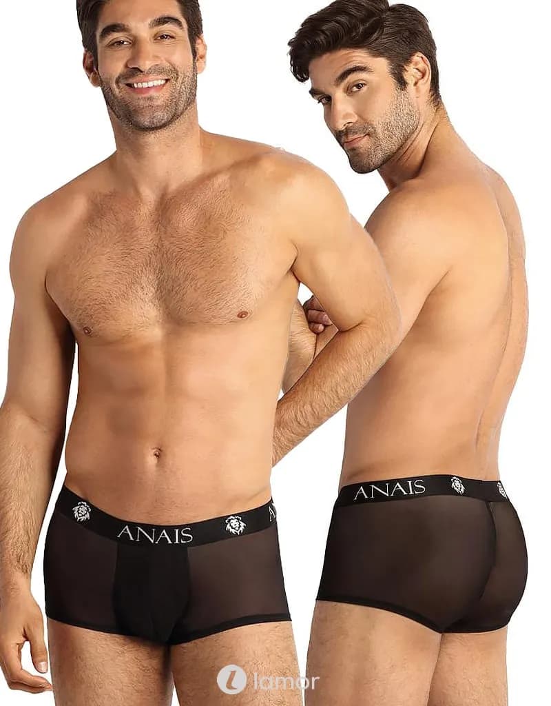 Zwarte Boxer Eros