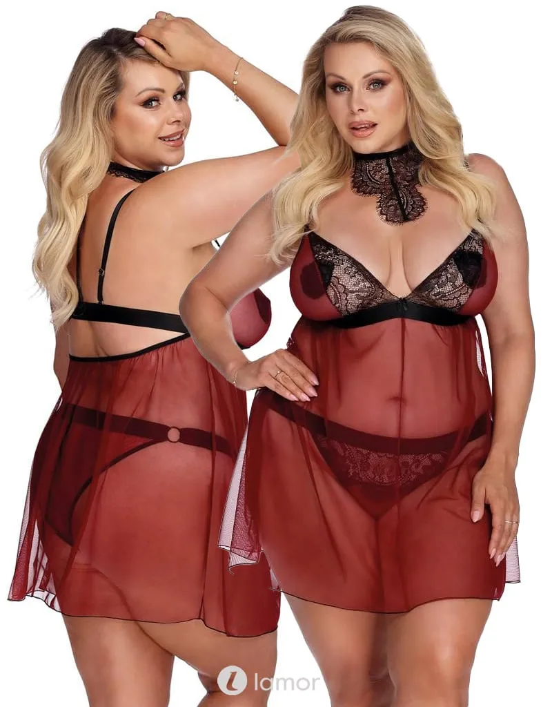 Zwart Rode Chemise, Arabella